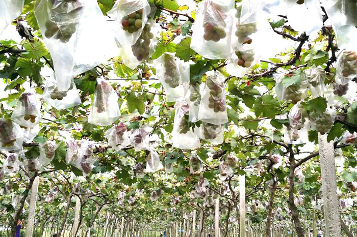 圣元電器8年專(zhuān)注專(zhuān)業(yè),堅(jiān)持做環(huán)形變壓器